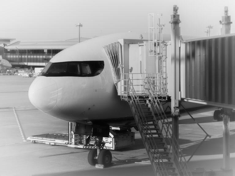 Tips for Finding Quality Travel Supplies Online